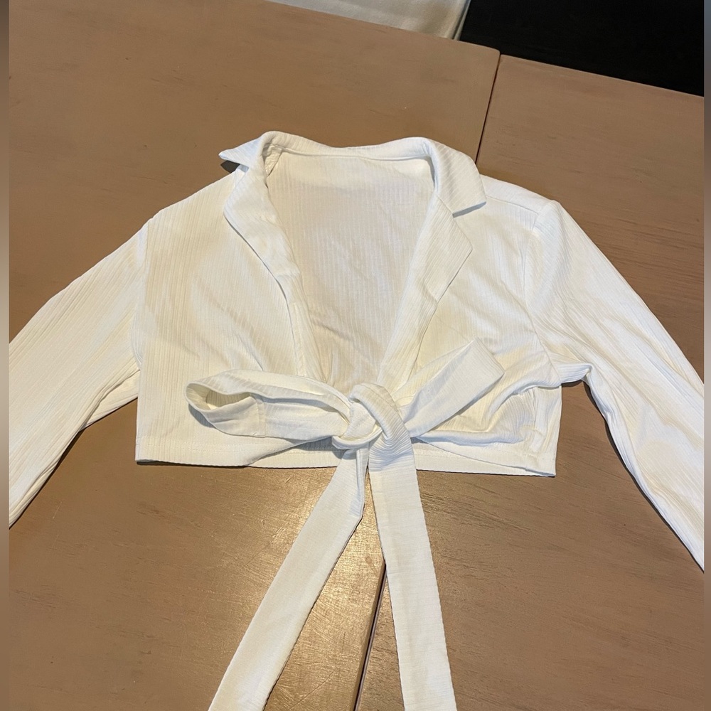 Cider Long-sleeve Crop Top